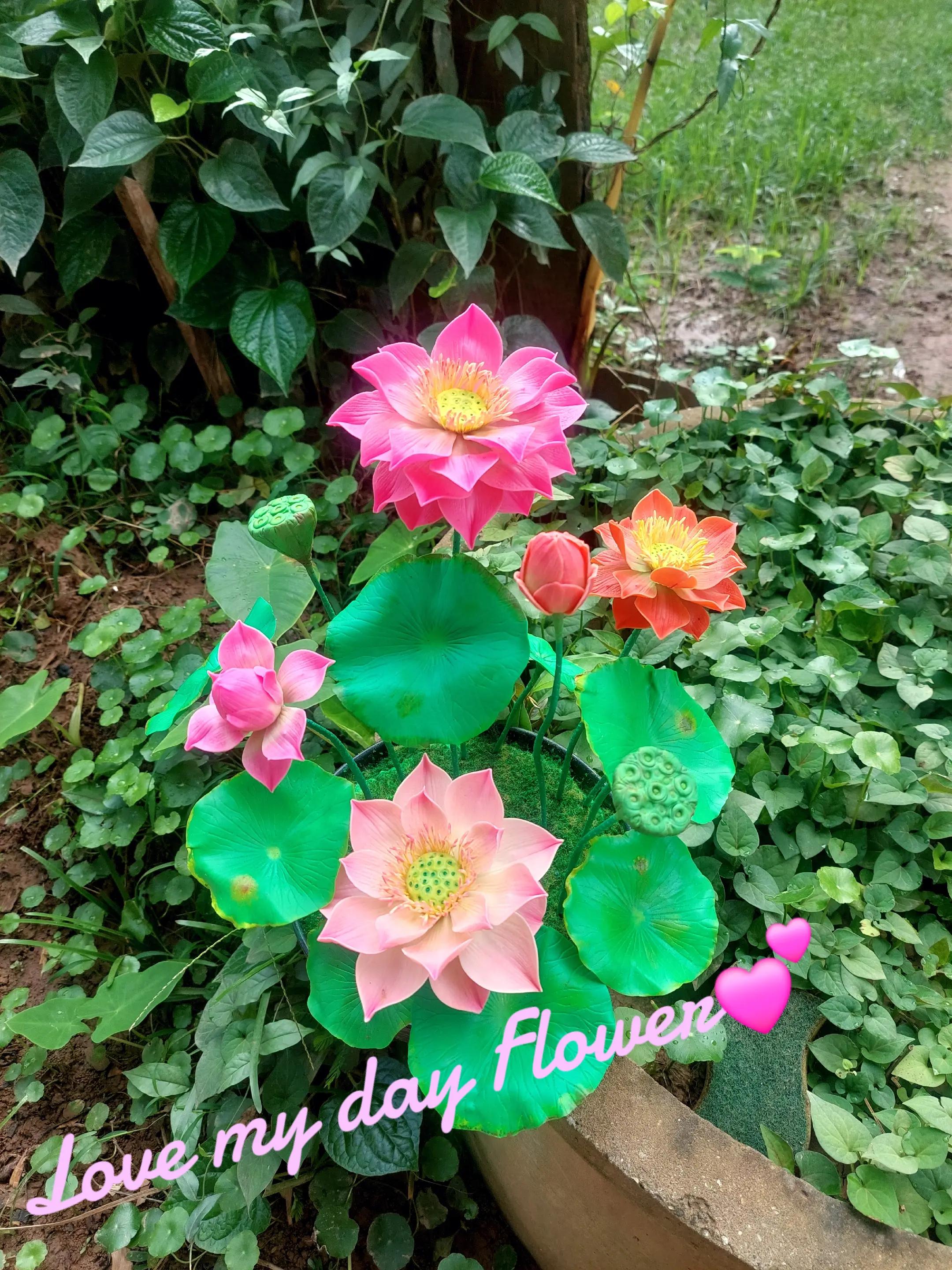 @Arthitayar-นุ่น🥰🥰