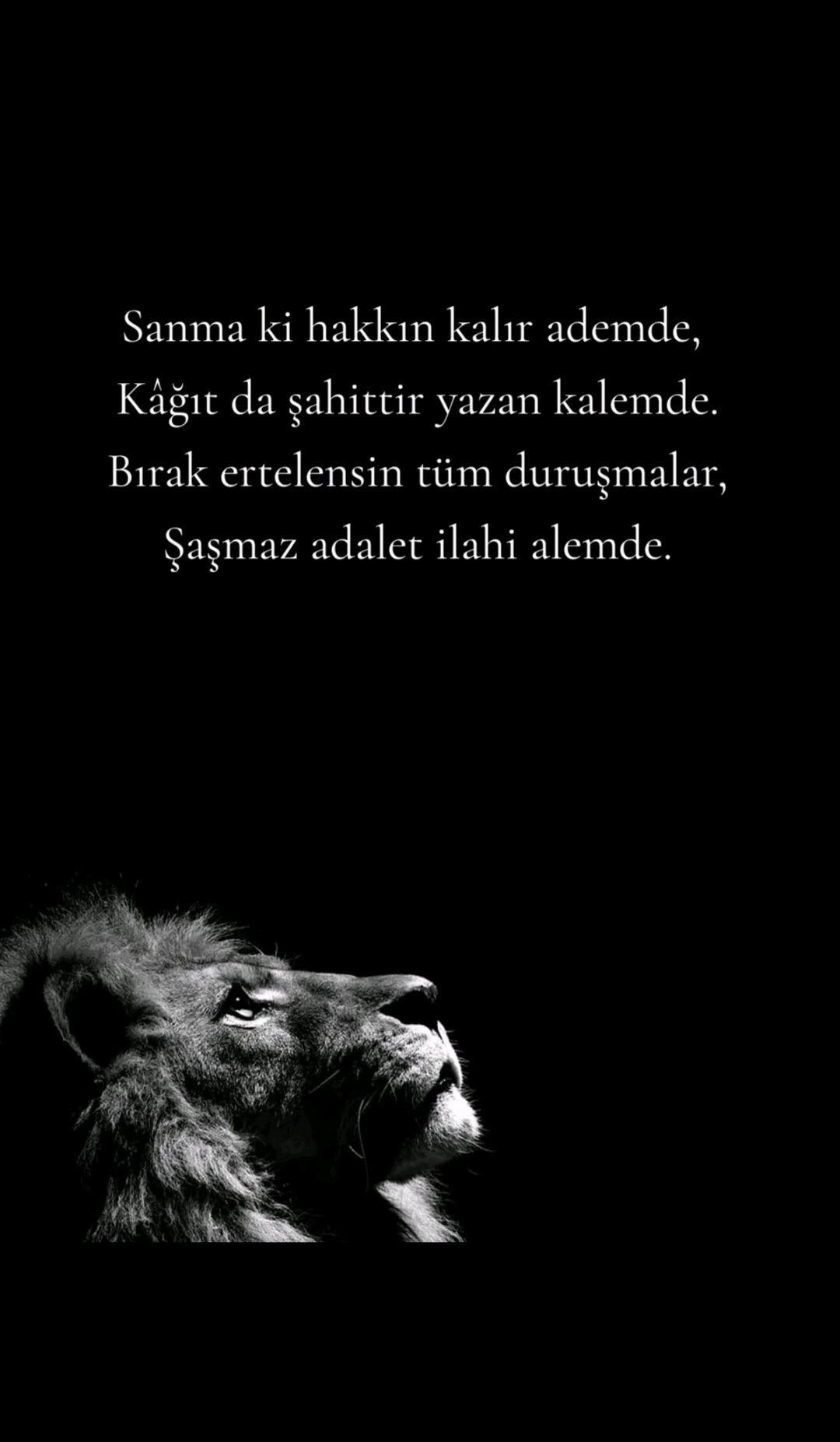 @Ozi Gürhan