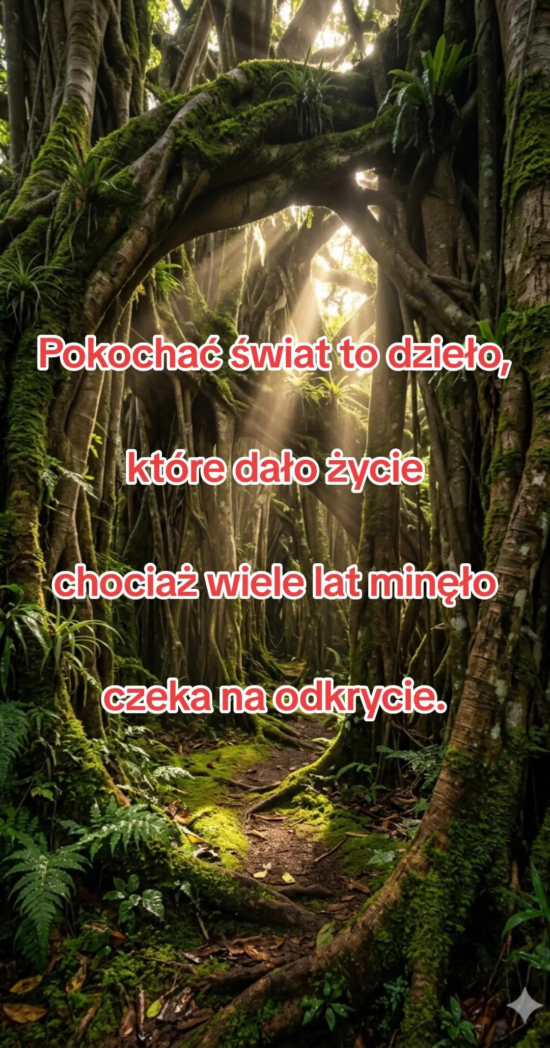 @Poezja Polska