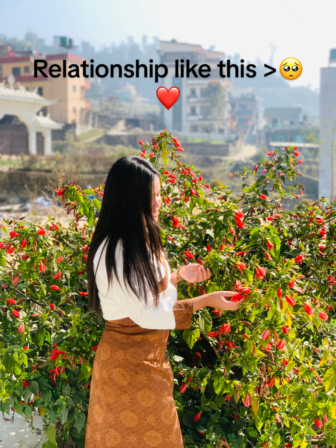 @Dolmu 💖
