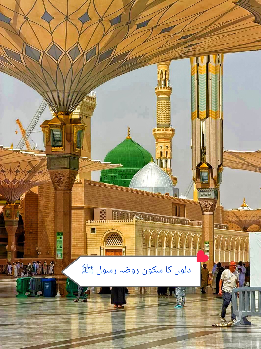 @TanviR