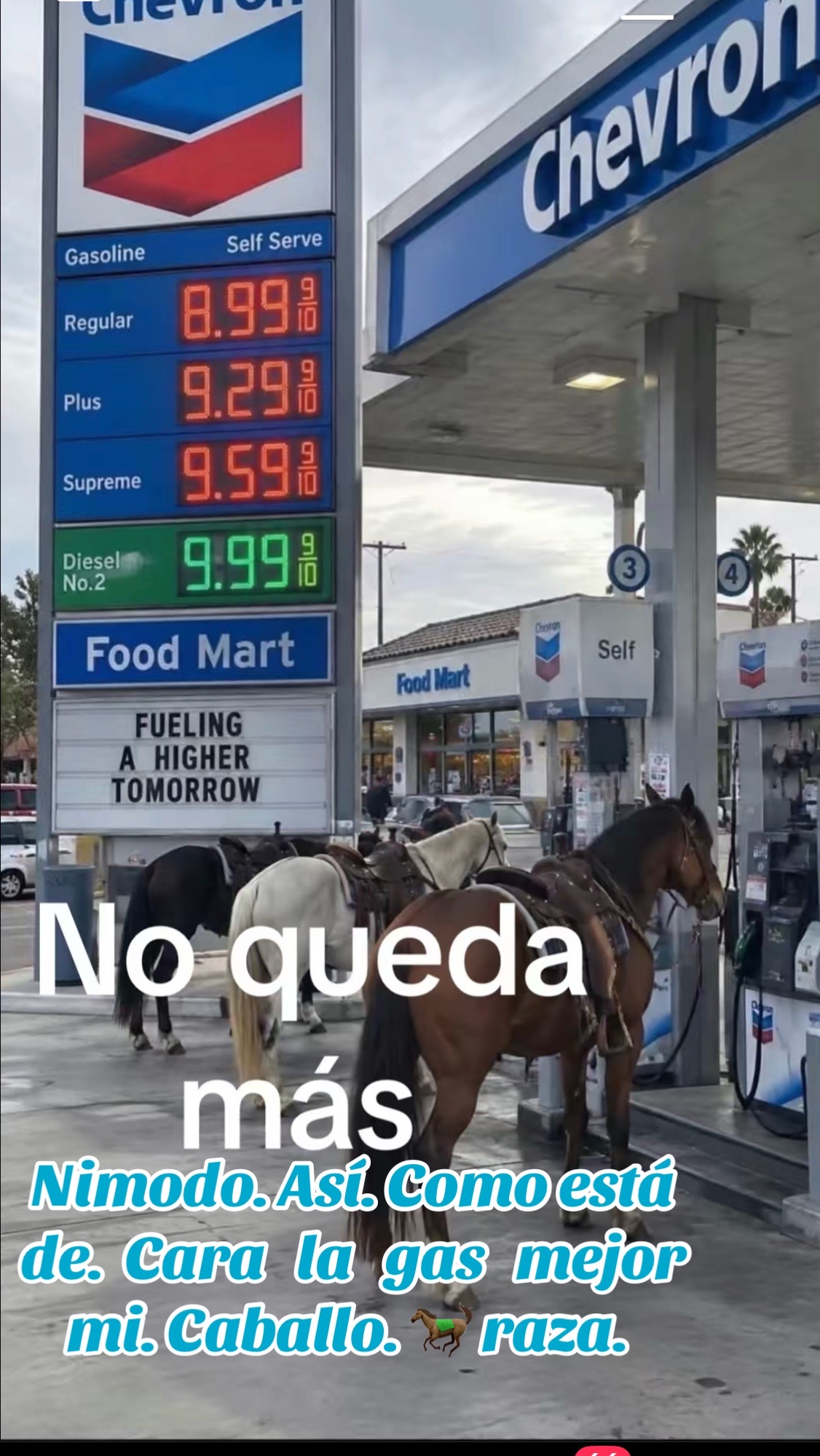 @🇲🇽padrecito🇲🇽