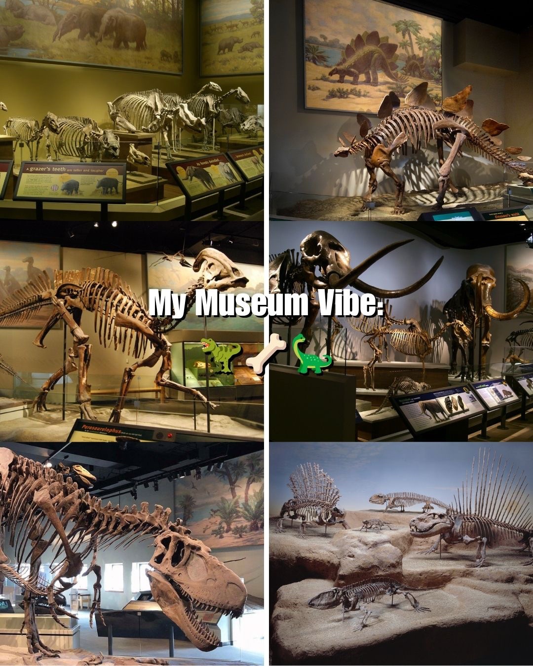 @Field Museum