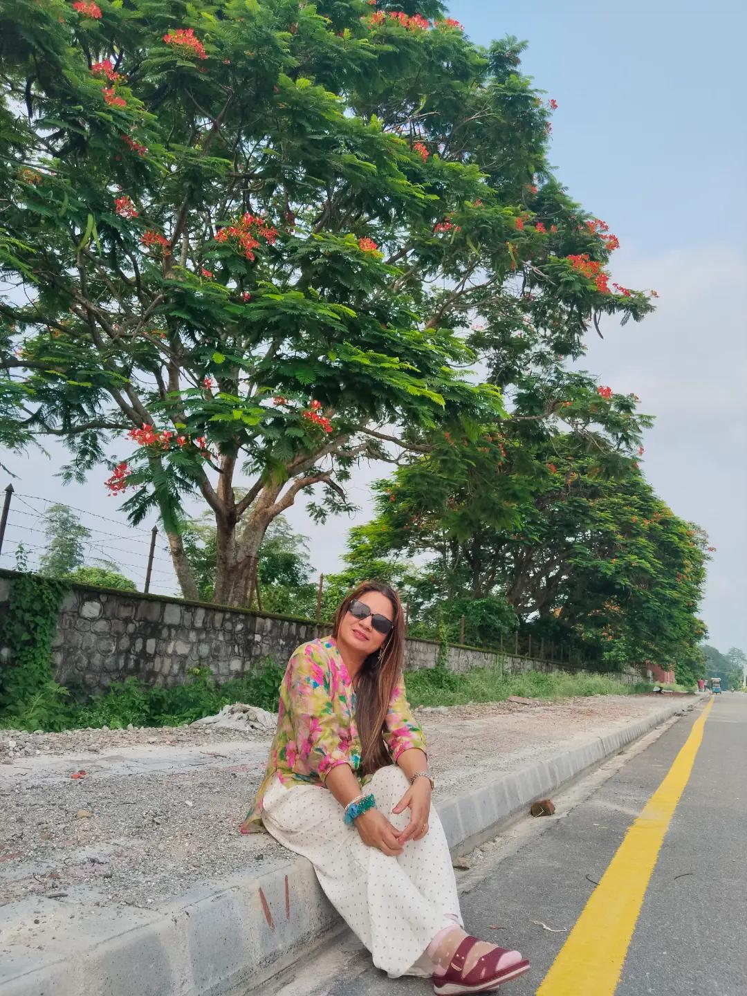 @Manju Pokharel