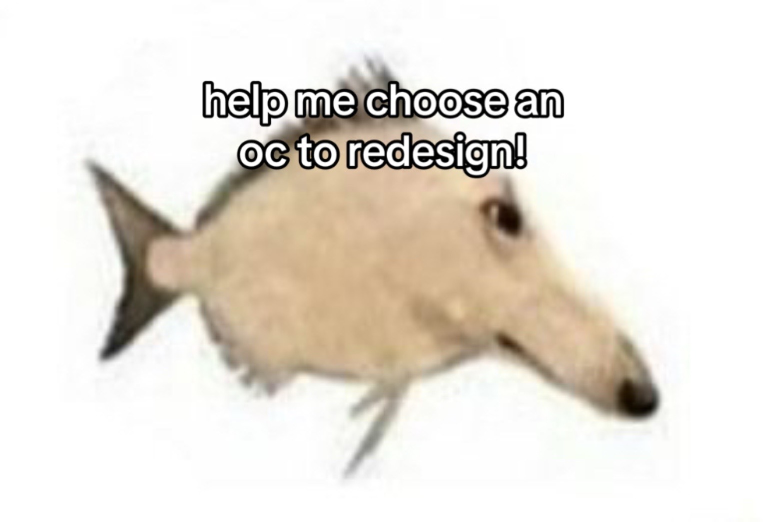 @🐟