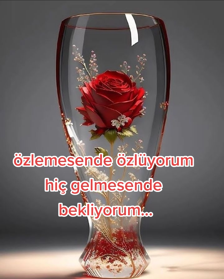 @🩷🕊️ELFİDA🕊️🖤