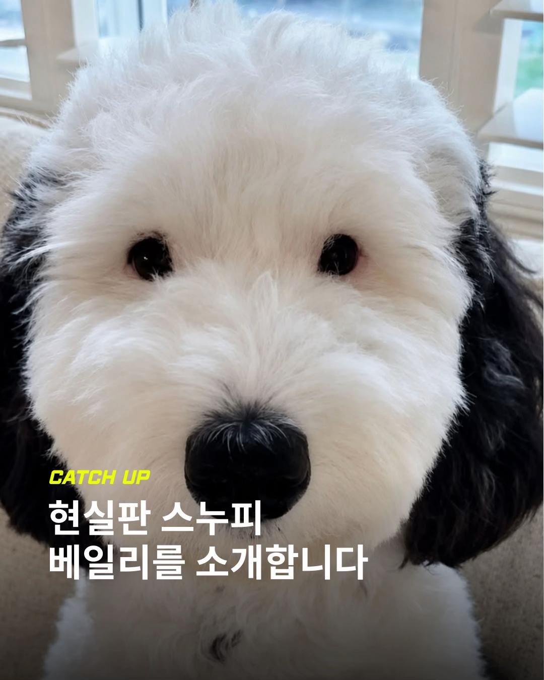 @이슈&트렌드 | 케찹