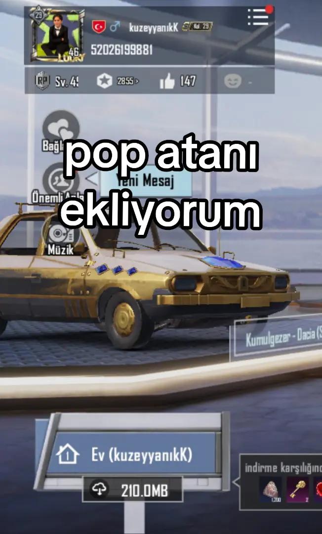 @kuzey_yanik