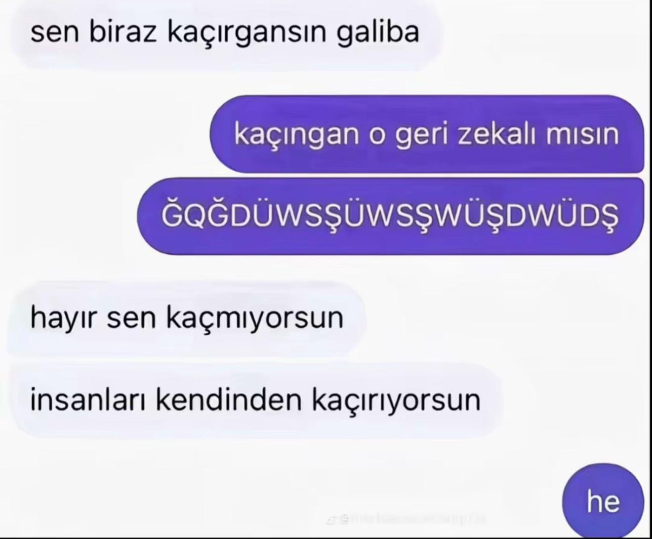 @Bilgee🦢