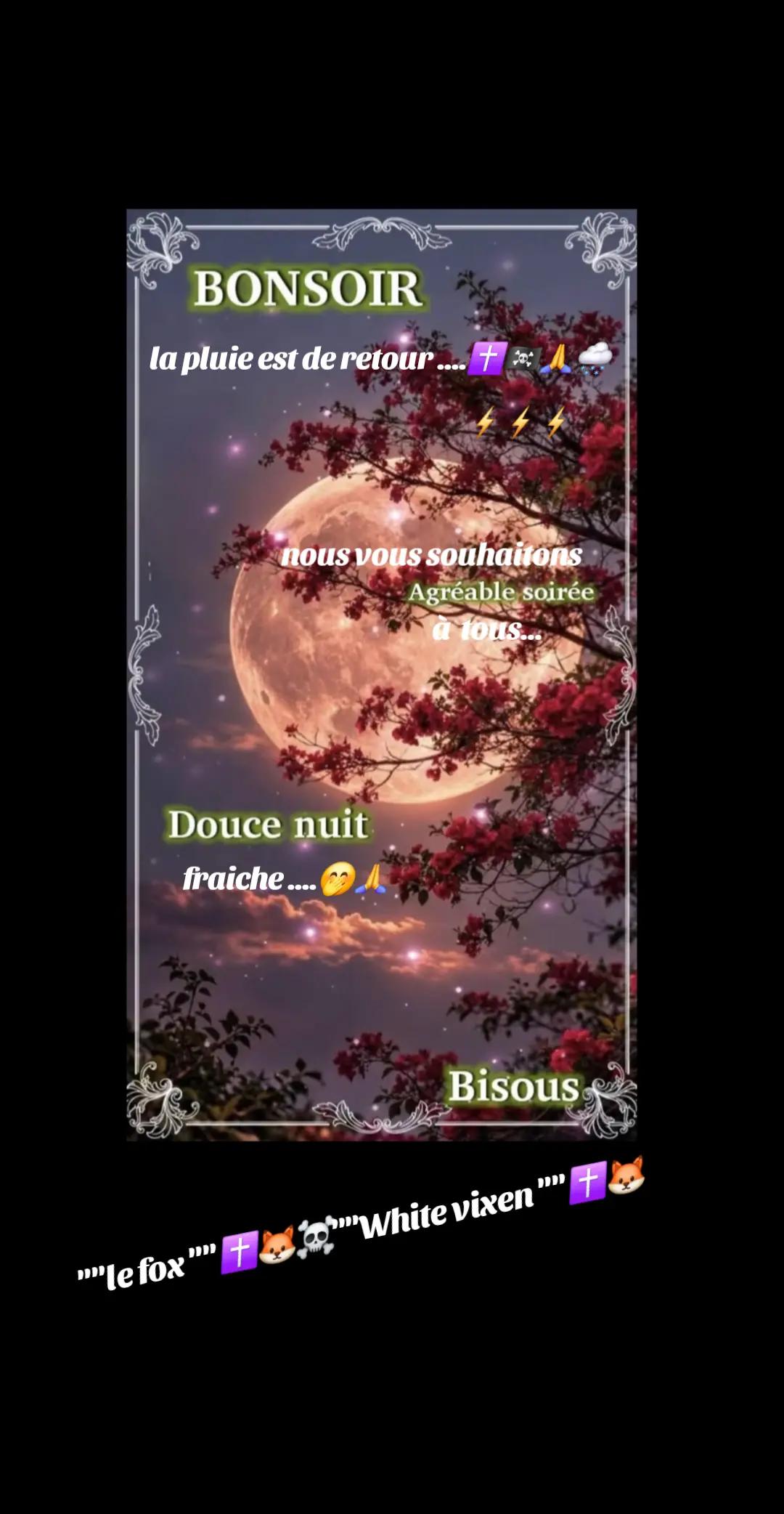 @🇫🇷Le fox✝️🦊☠️white vixen✝️