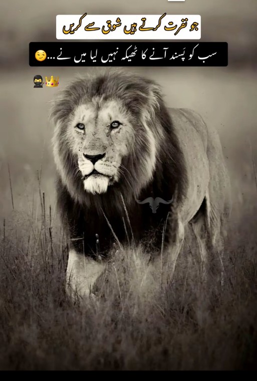 @iqrar621