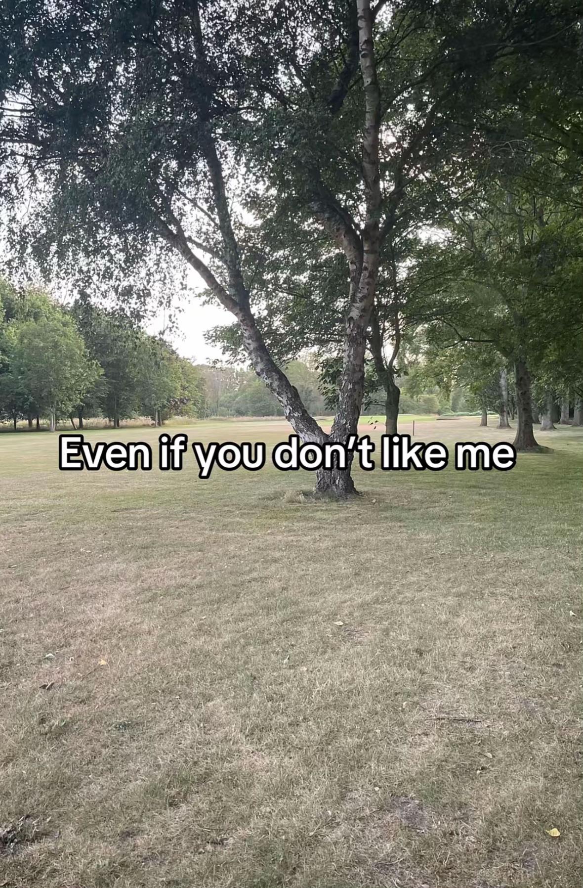 @Charlesglf