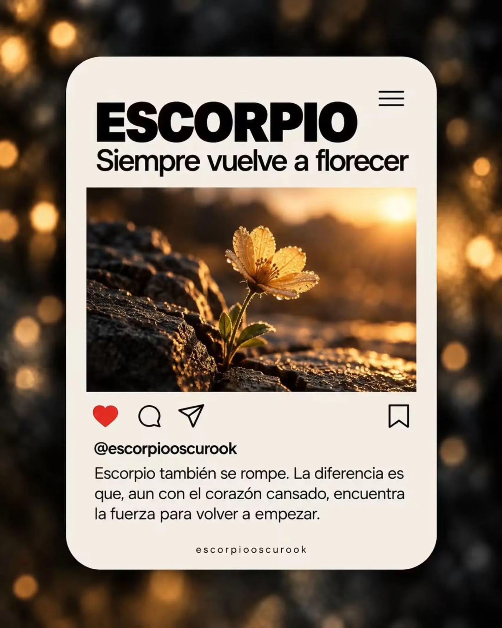 @Adal♏