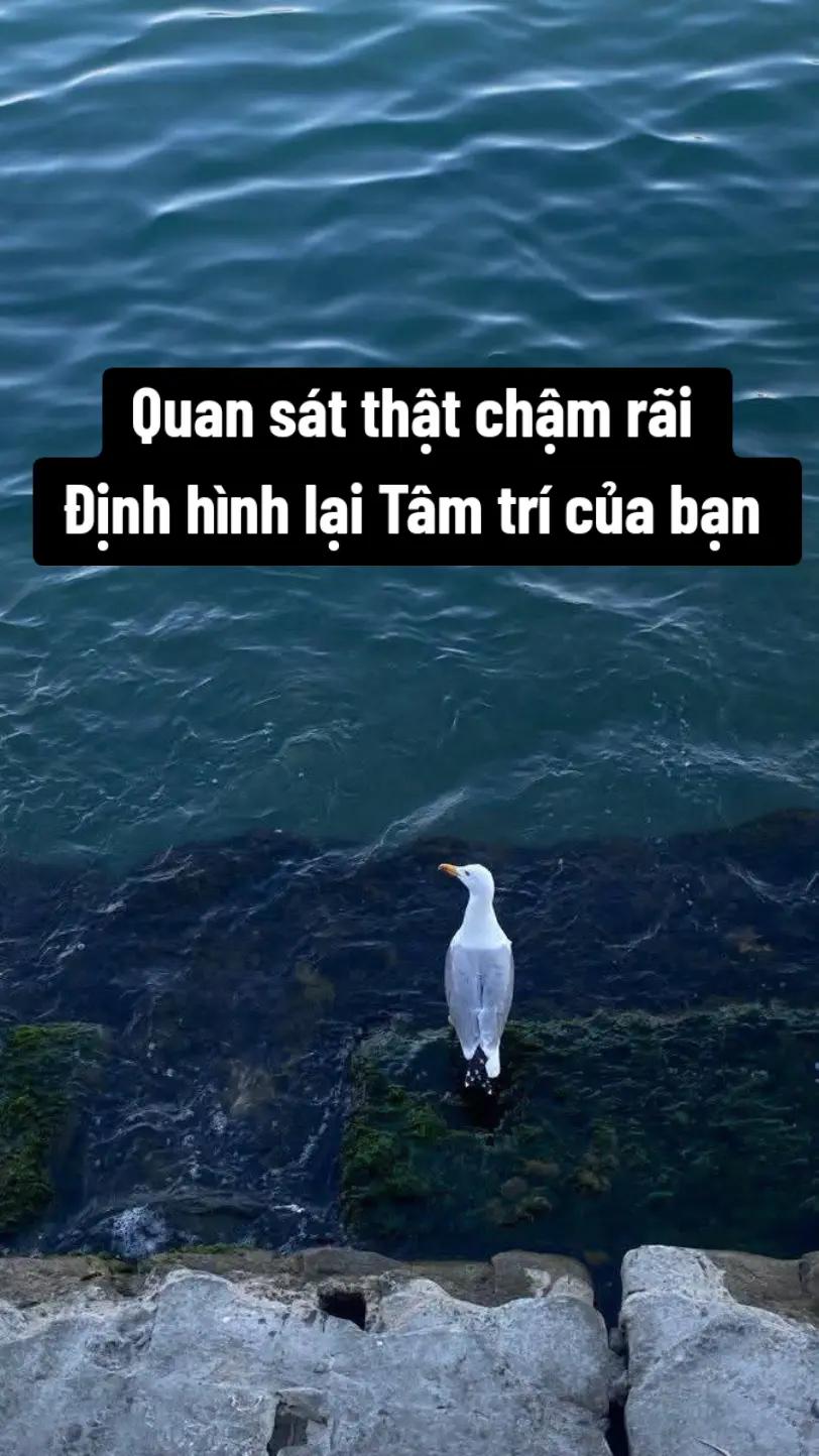 @Ch&agrave;o buổi s&aacute;ng