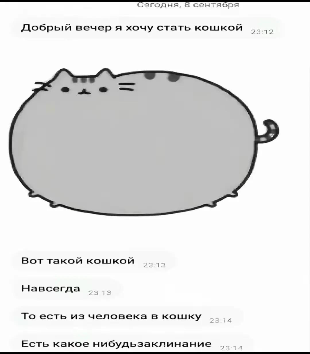 @некит #гуччев🎃🧛