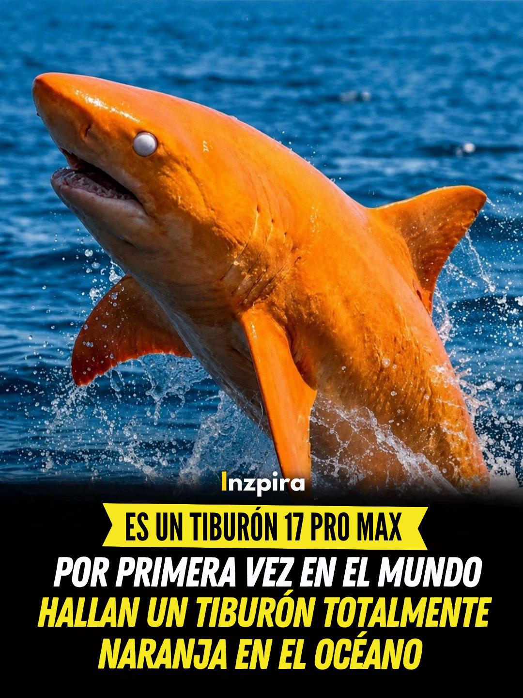 @inzpira.oficial