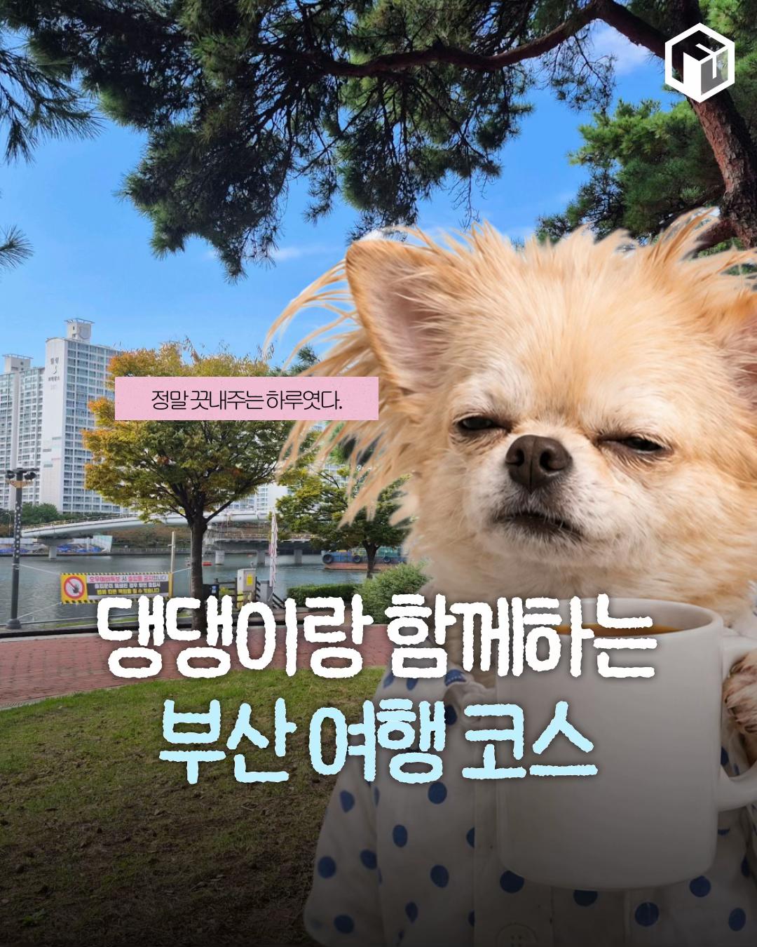 @부산톡톡