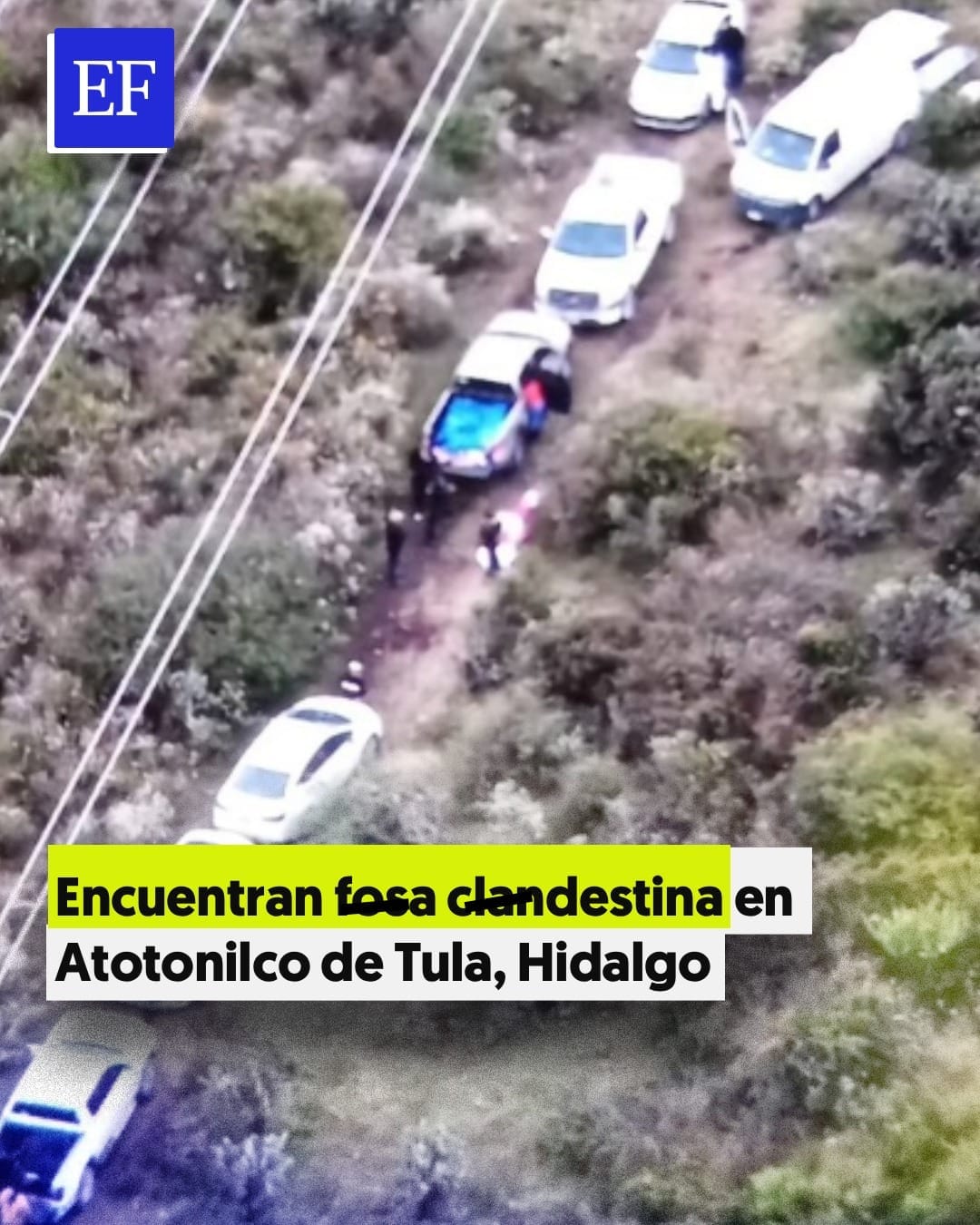 @El Financiero