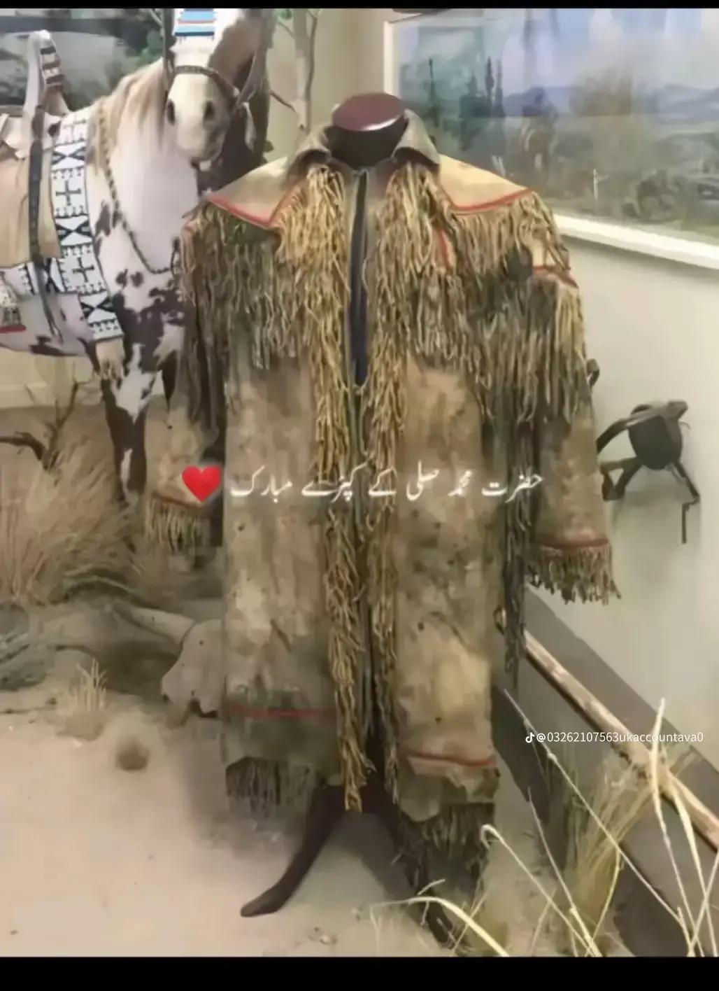 @👑 ہاتھیان کینگ🍃👑