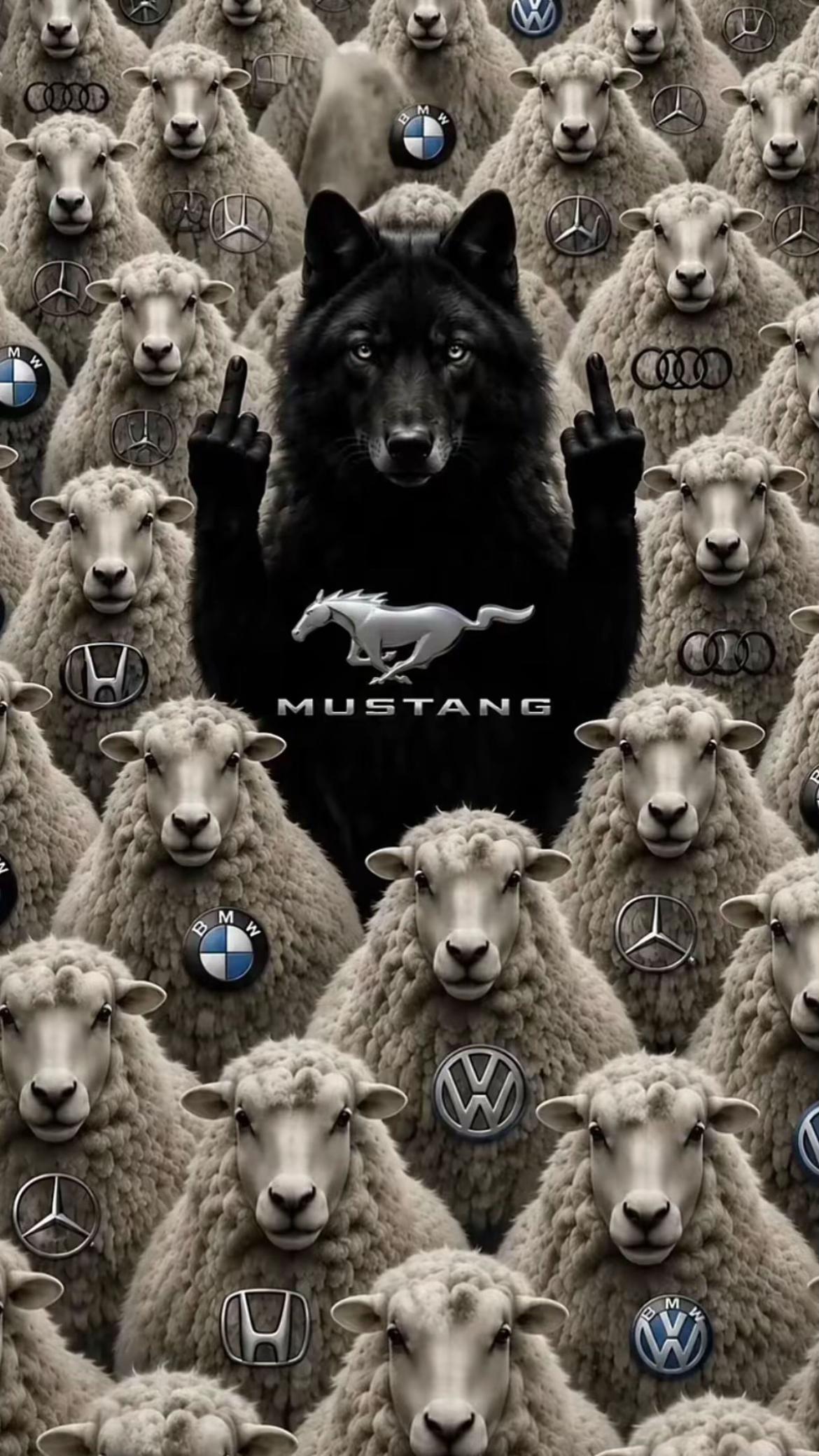 @DARO MUSTANG 🐎