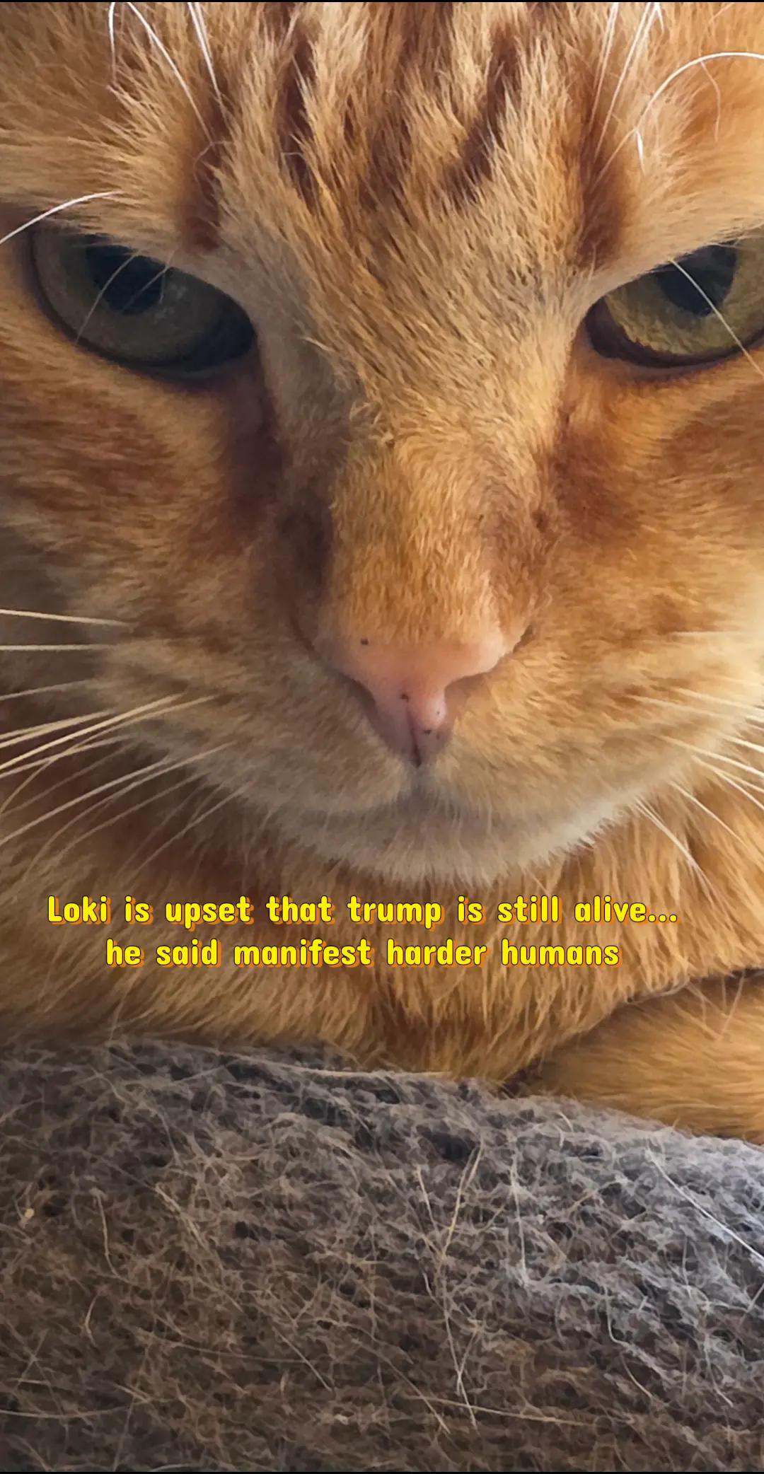 @𝕬𝖓𝖌𝖎𝖊 🐆🍒🍸