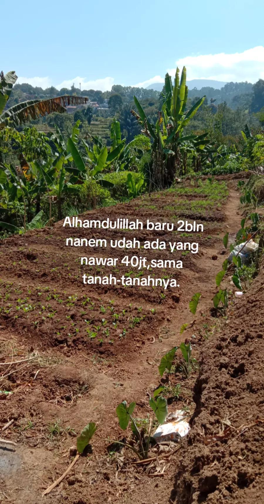@Farhan