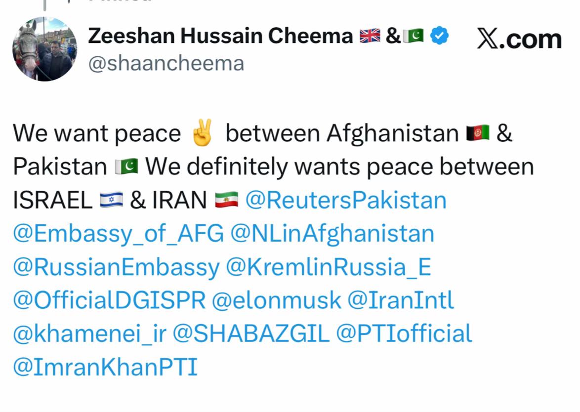 @Zeeshan Cheema 🇵🇰 🇬🇧