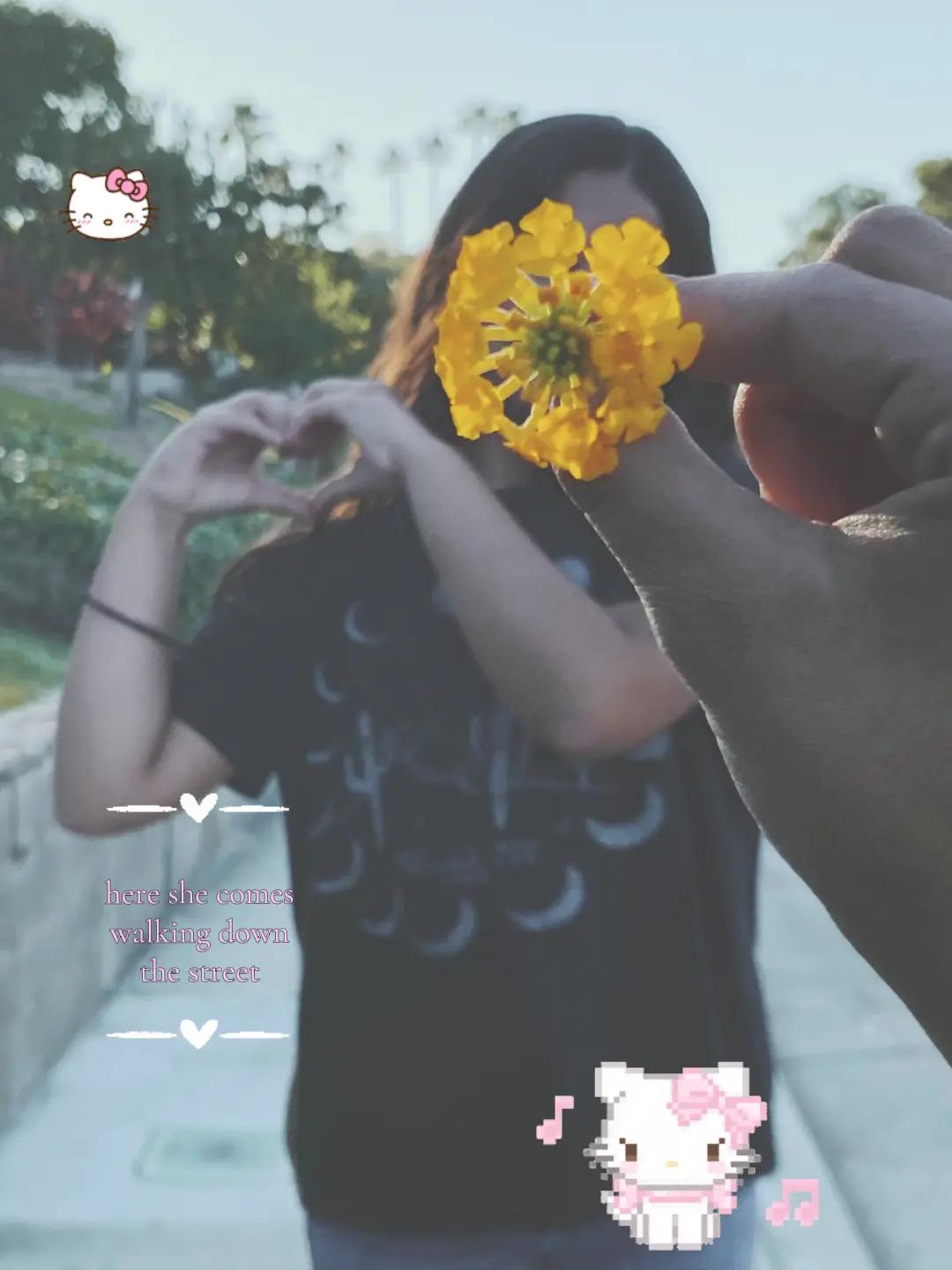 @&pi; ౨ৎ ❀