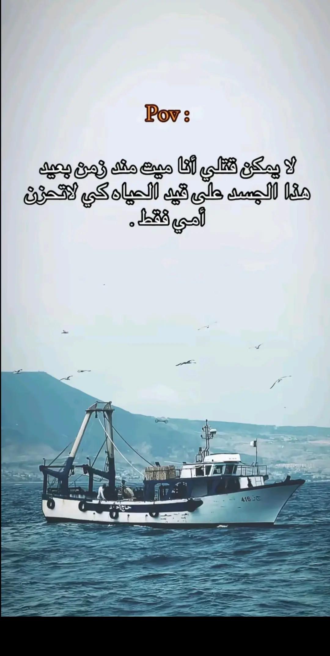 @imm. ortal