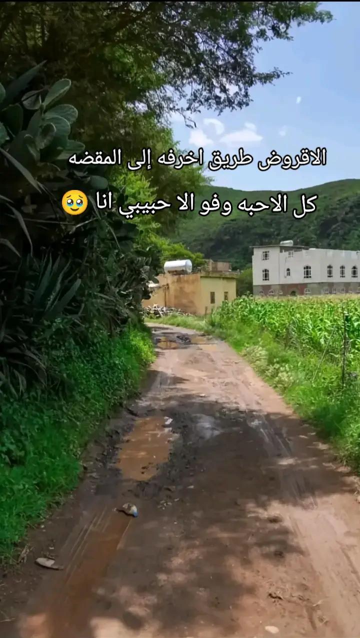 @❀🇾🇪👑🫶🌹🇾🇪❀
