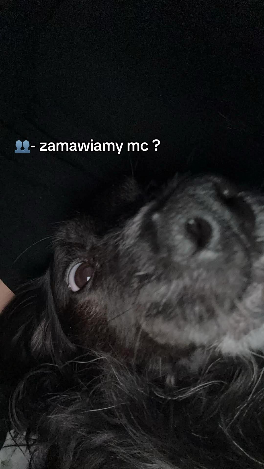 @dzasta