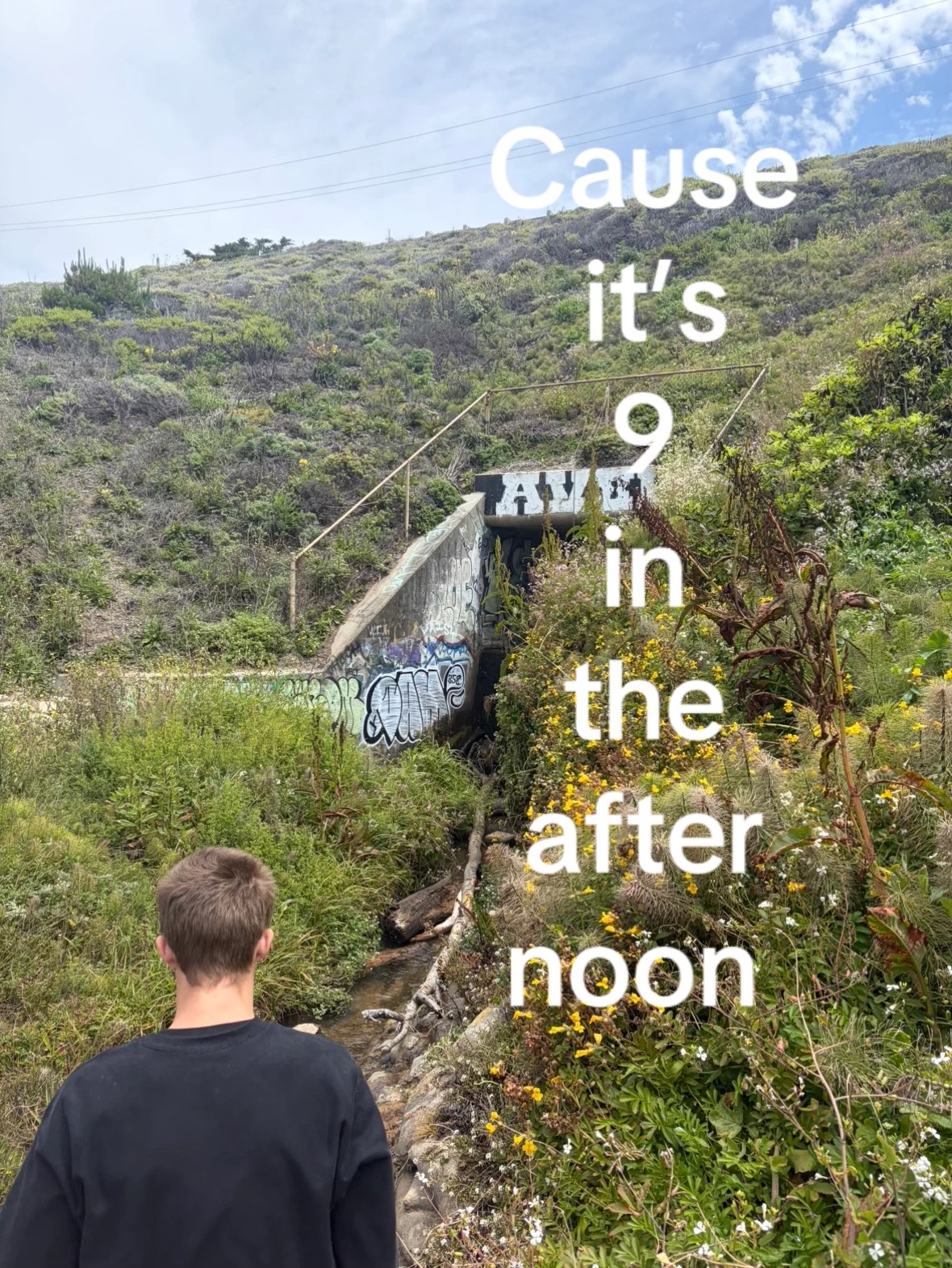 @Jamo