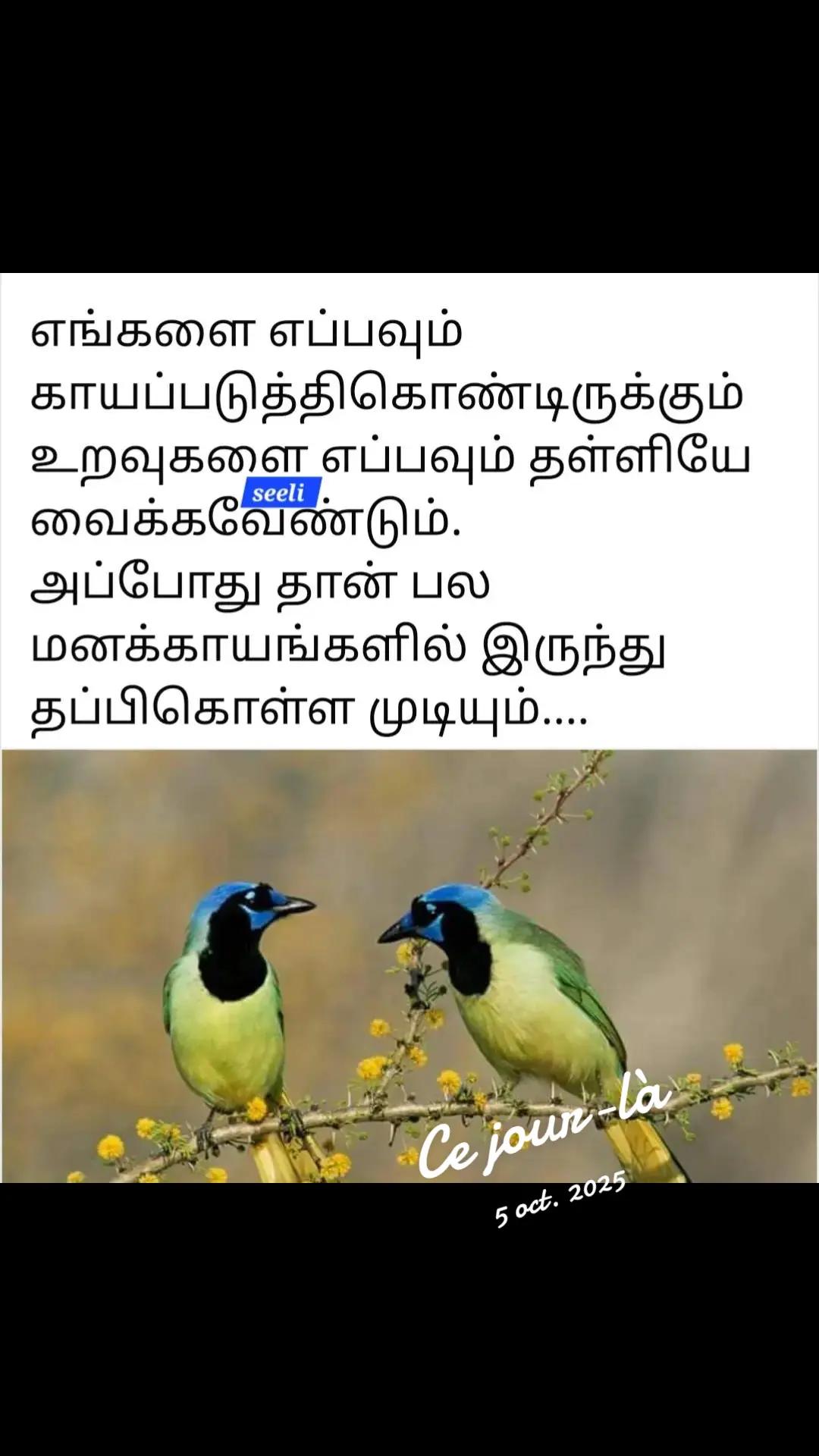 @sinna seeli