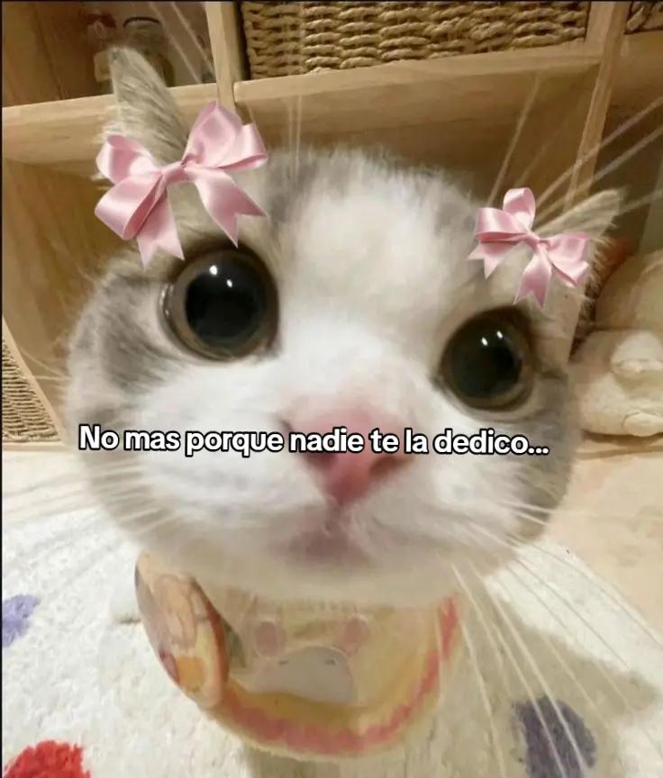 @@karen Nazareth luna👁️👄👁️