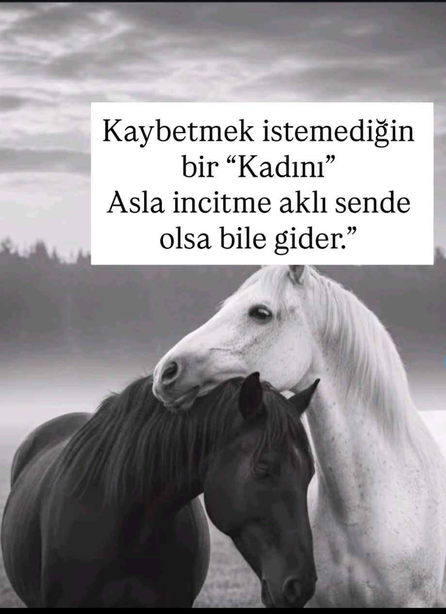 @Dilek Avcı