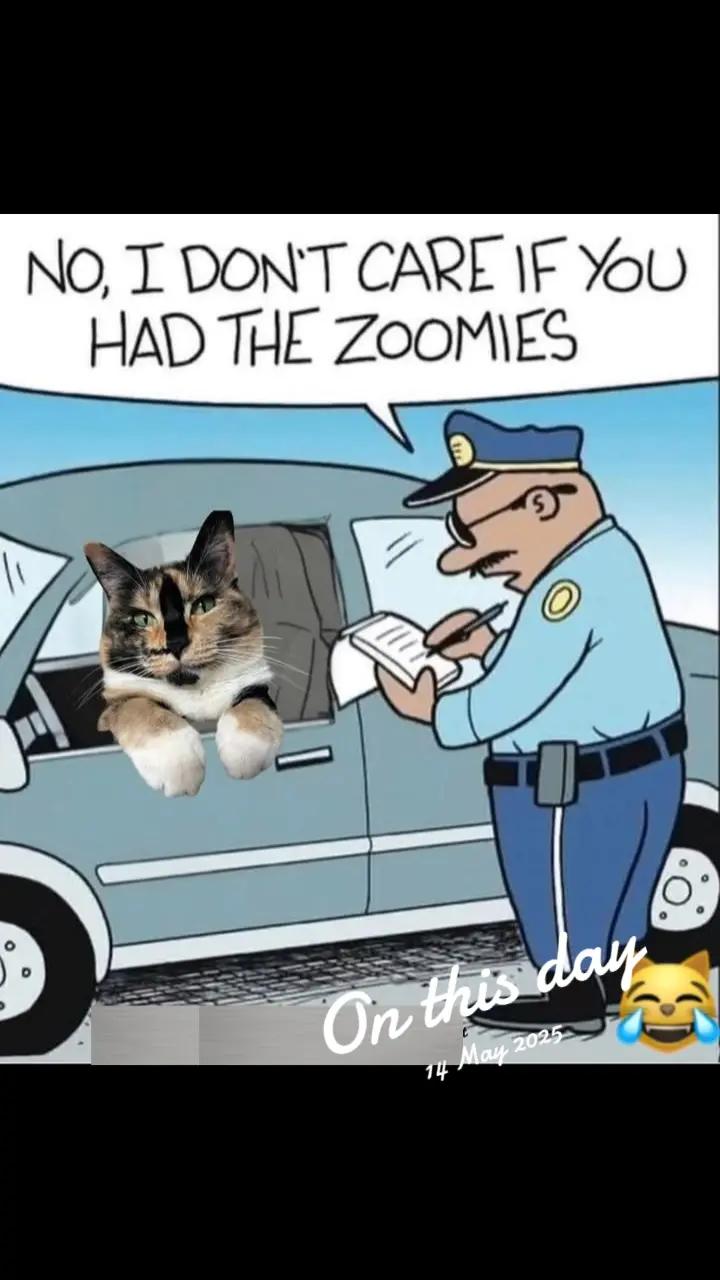 @✮𖤐ᚱᚣᐯᛊᚻ_ᛖᚽᛇᛘ𖤐✮