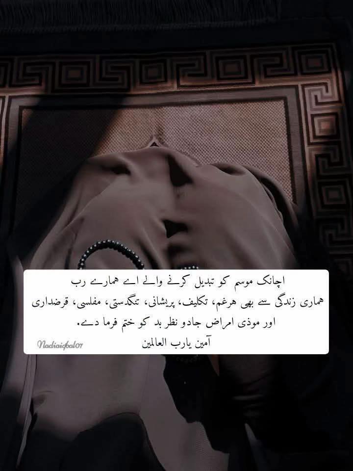 @user4177101570221