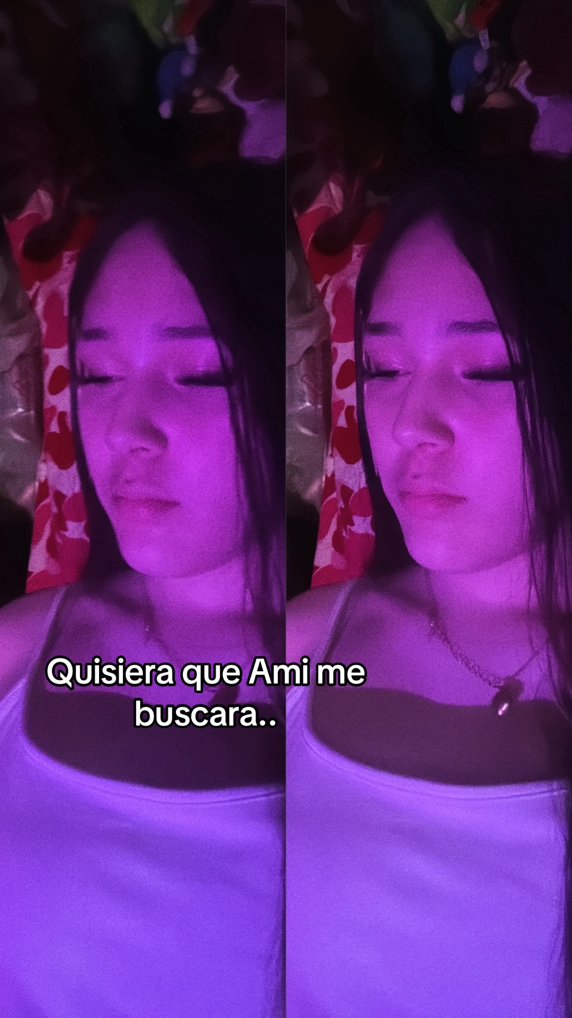 @ibitecars