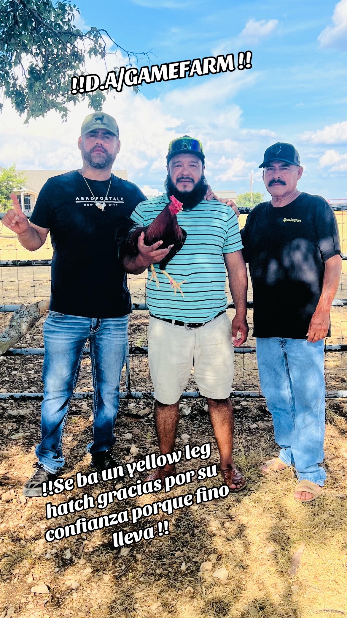@DAgamefarm