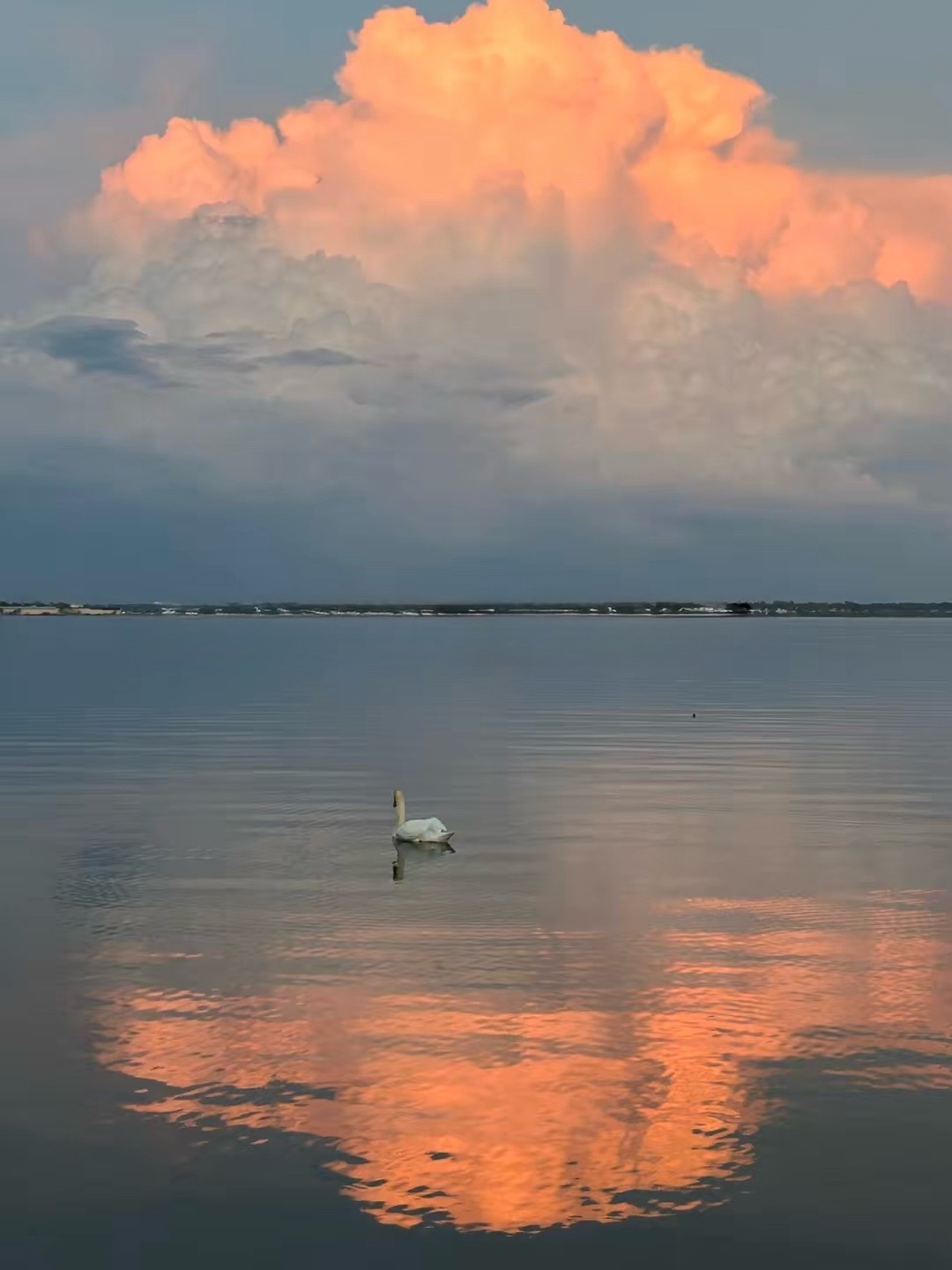 @Ashden Ryke👑
