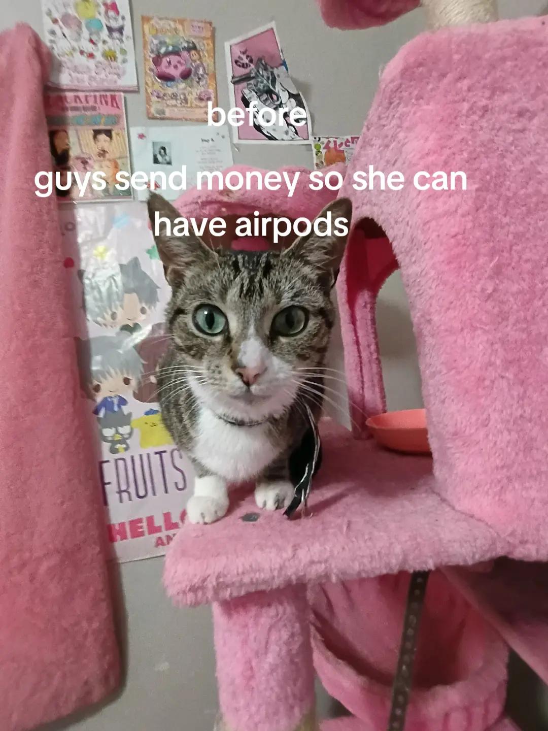 @nico