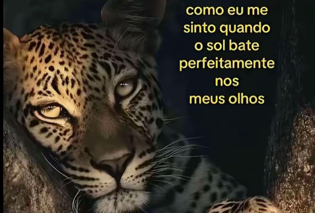 @_lisbellavieira