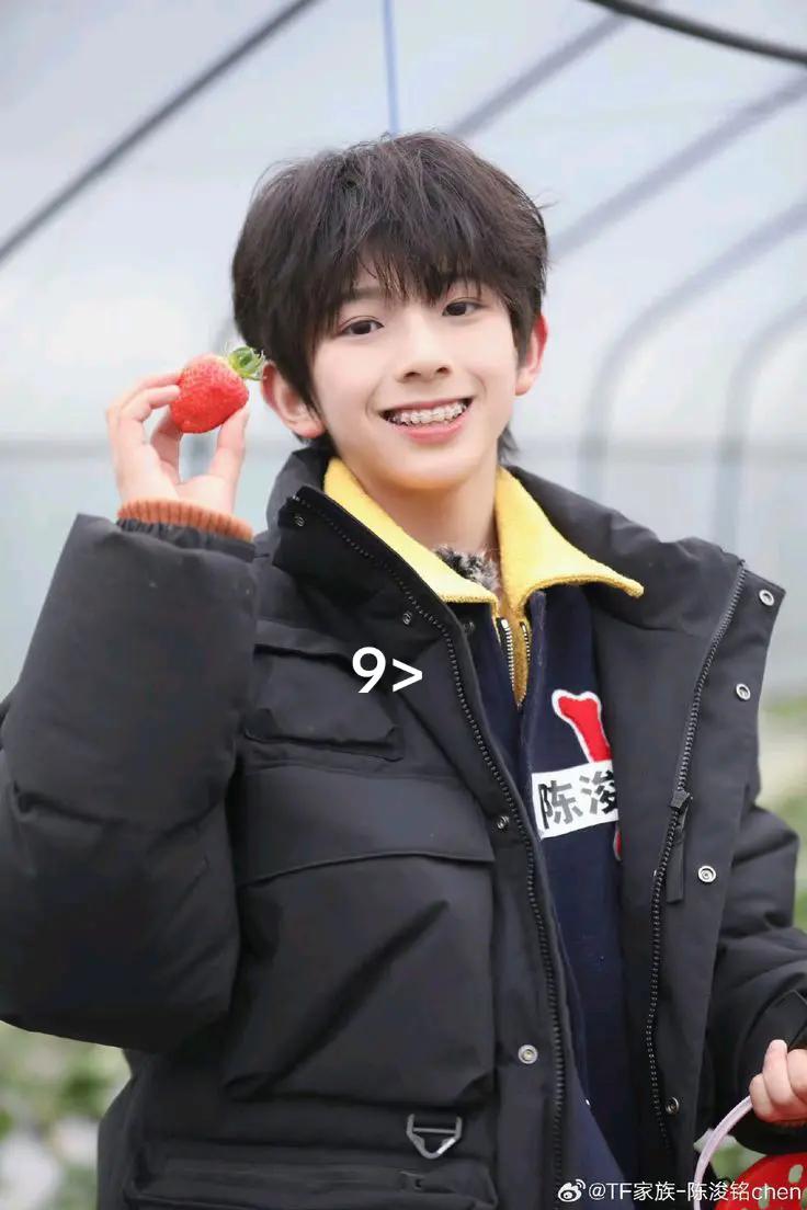 @TF家族-陈浚铭chen