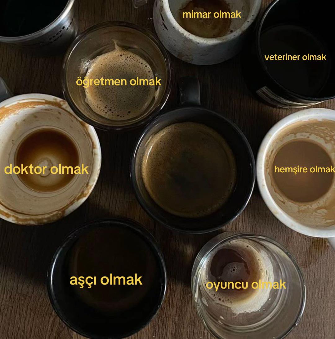 @zeynep
