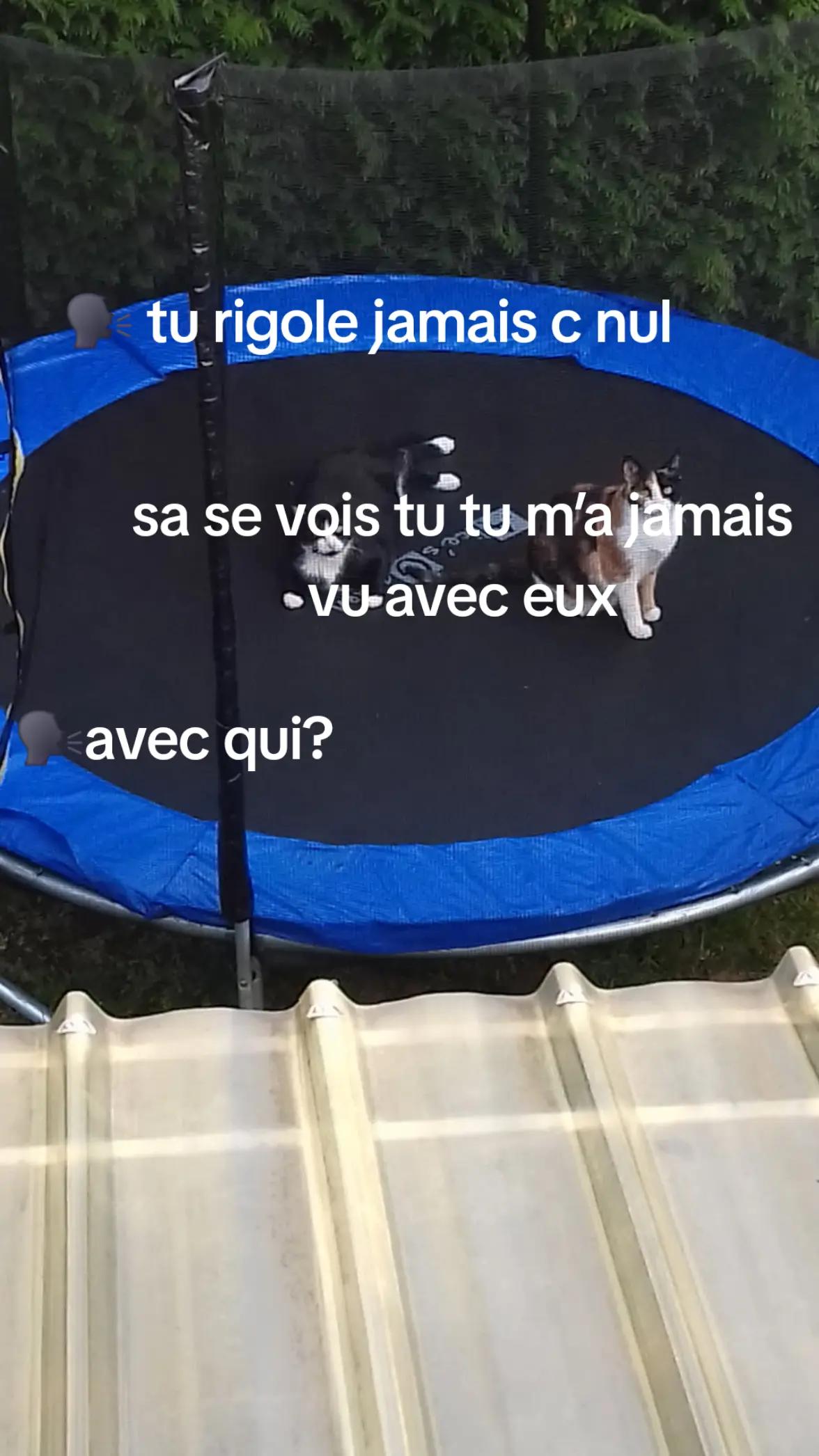 @𝓛𝓸𝓾🪭🦢