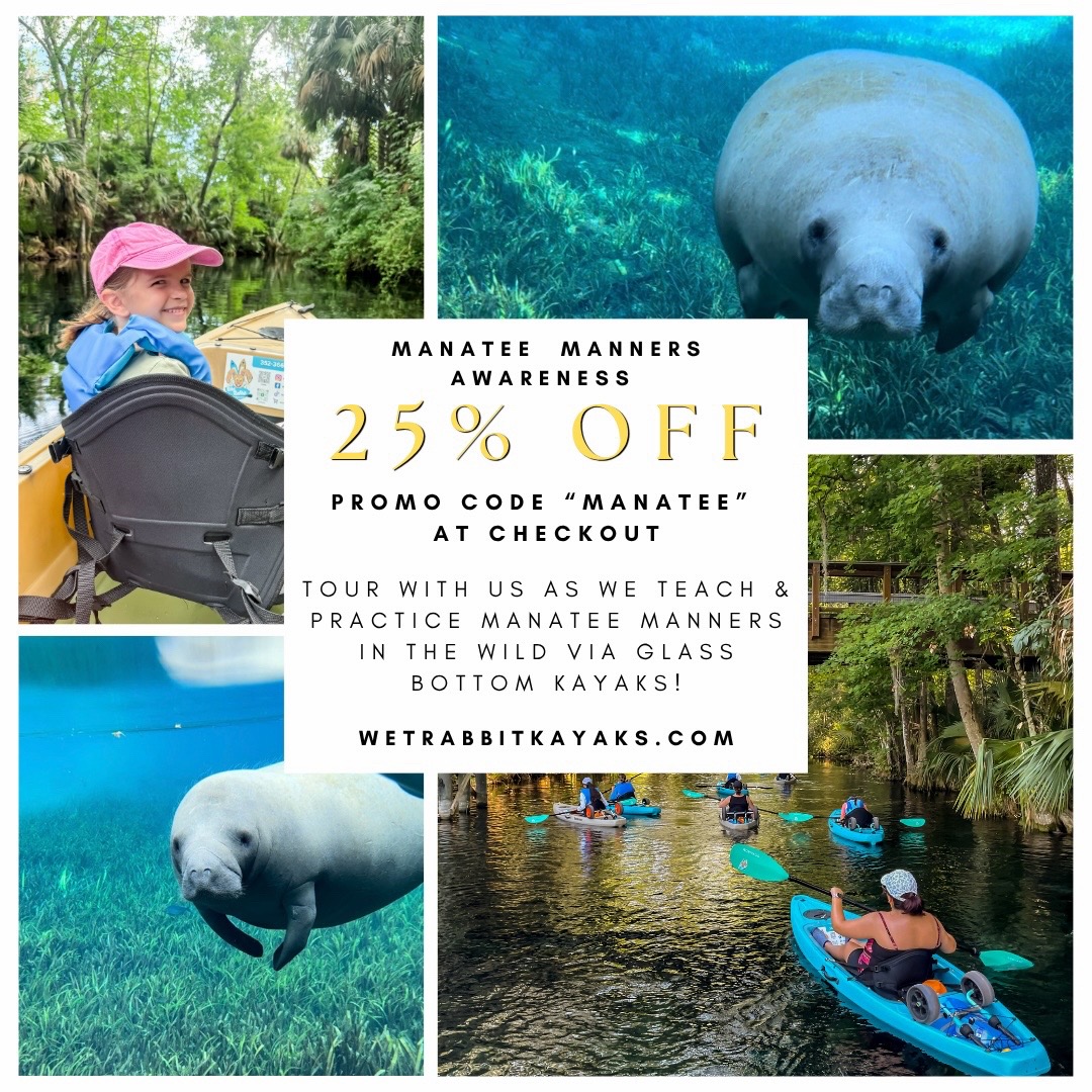 @Wet Rabbit Kayaks