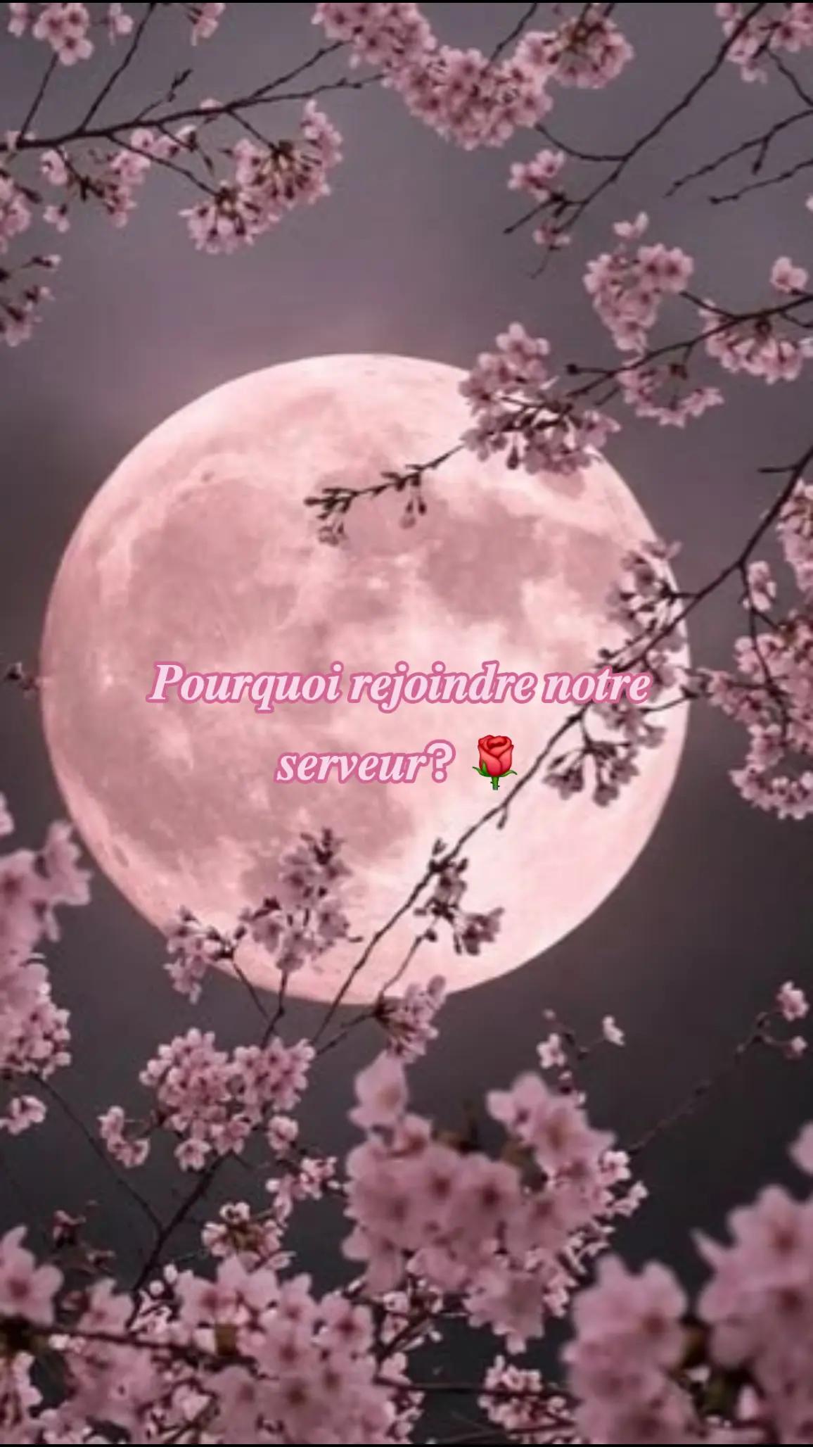 @๐๐ข๐ ๐ก๐ญ๐ฌ๐ญ๐๐ซ