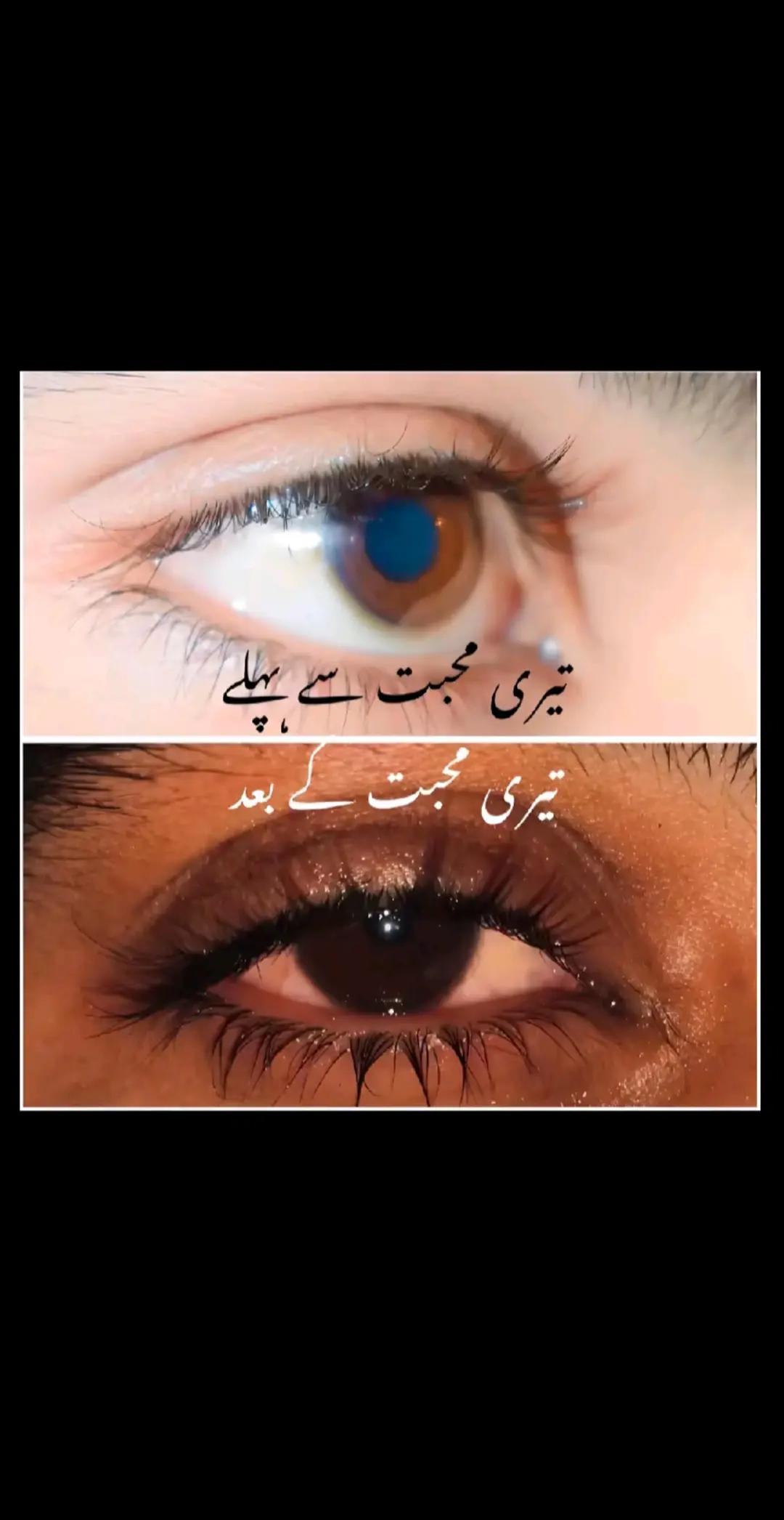 @🦅اویس کاہلوں 🦋🥂