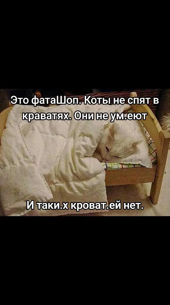 @блогер кича