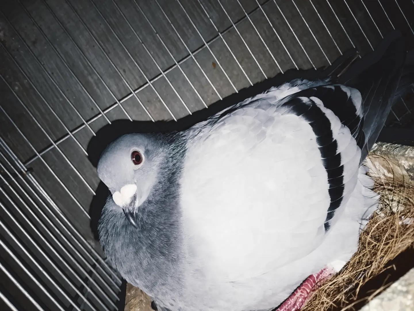 @❷❻💤
